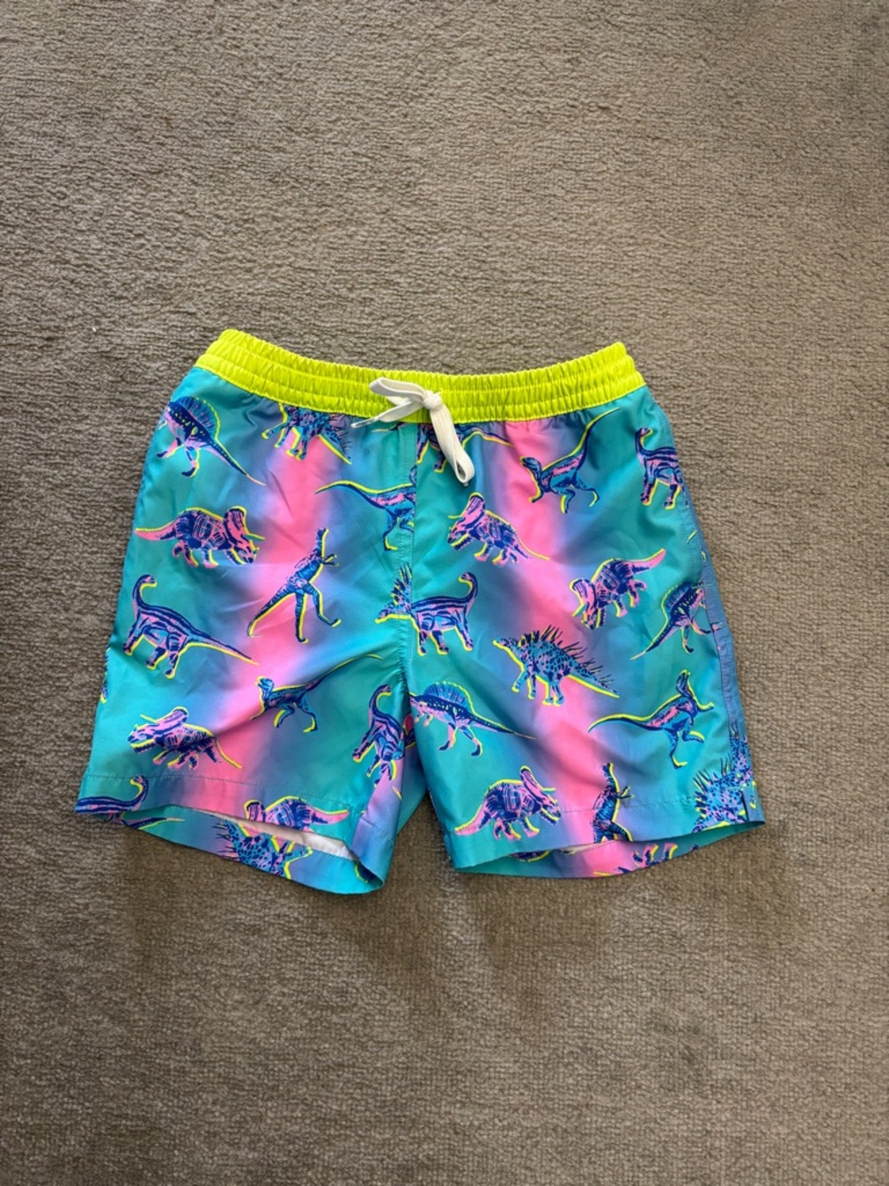 Chubbies Dino Delight Lined Swim Trucks Pink Blue Youth